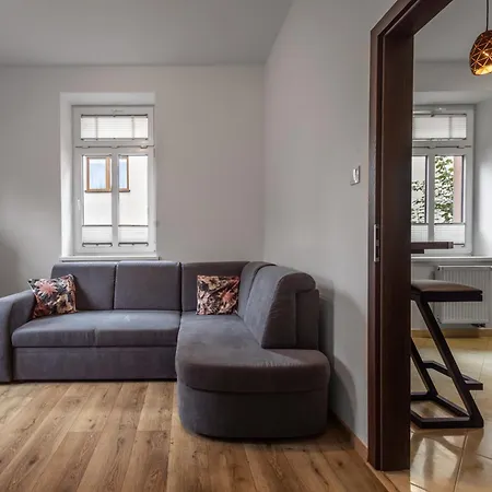 Center Silver - Bezplatny Parking Apartment