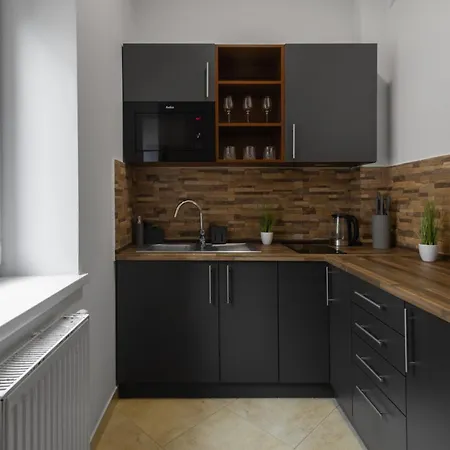 Center Silver - Bezplatny Parking Apartment Krynica-Zdrój