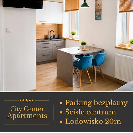 Center Silver - Bezplatny Parking Apartment Krynica-Zdrój